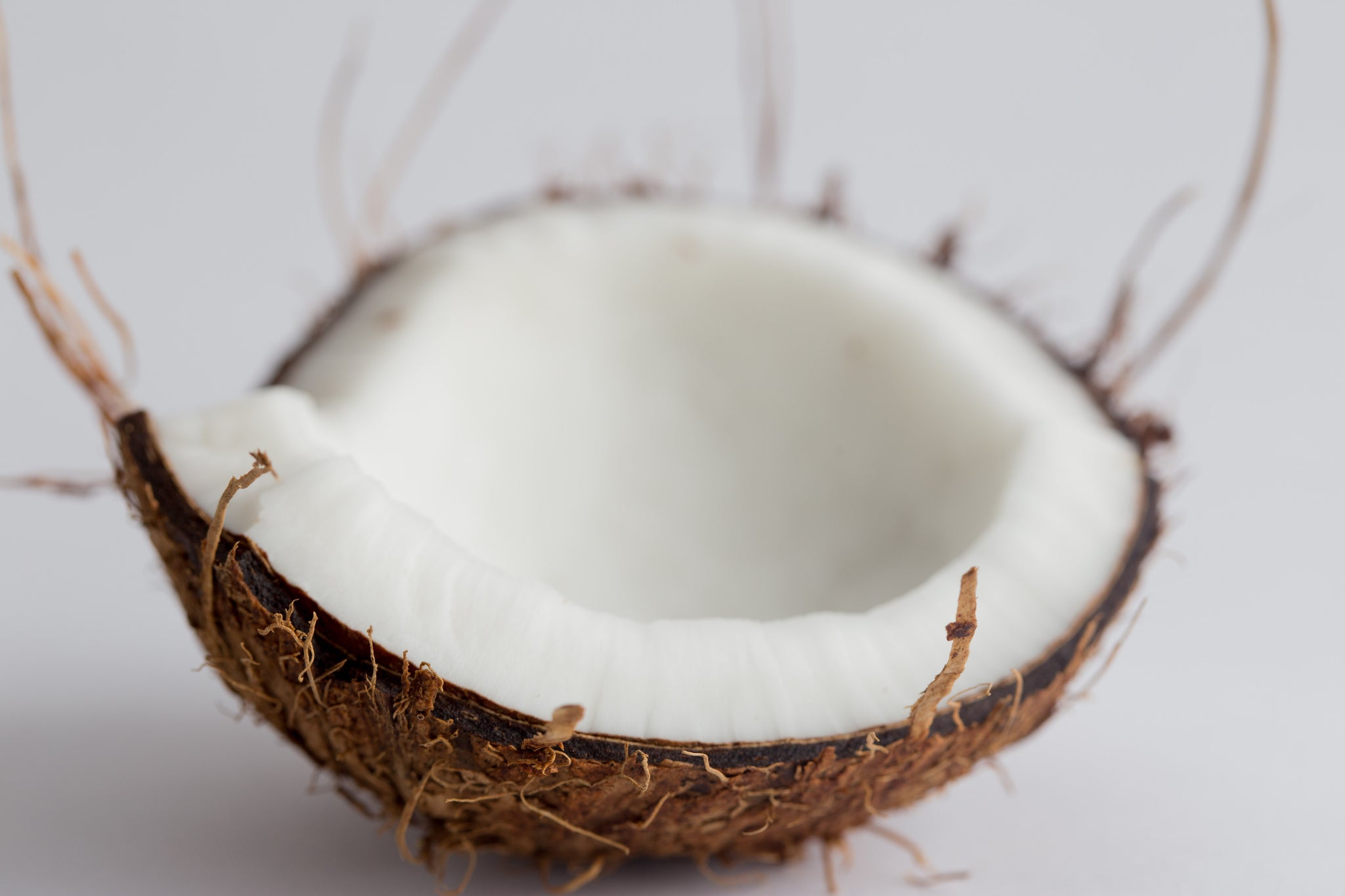 Coconut in shell, displaying coconut oil benefits for hair health and growth forest and shore